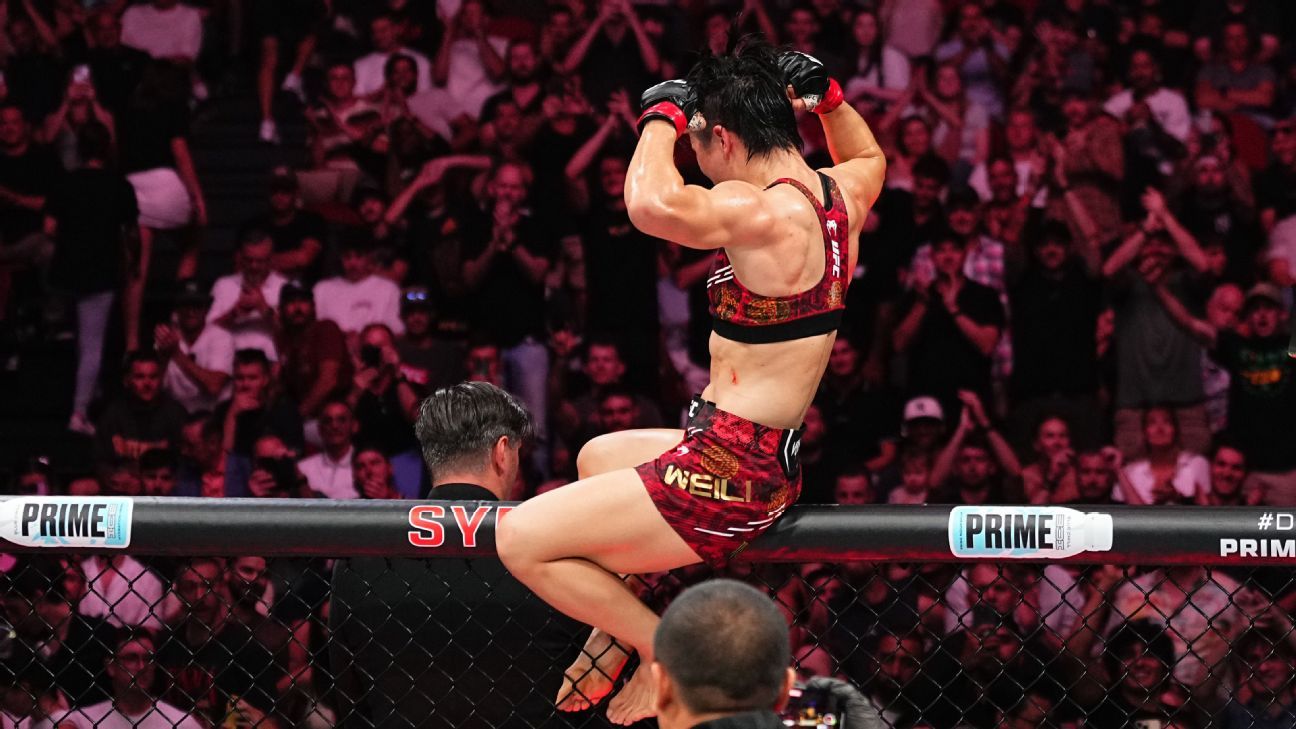 赔率的高低 赔率的高低